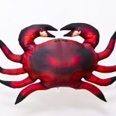 5372_Crabs_top