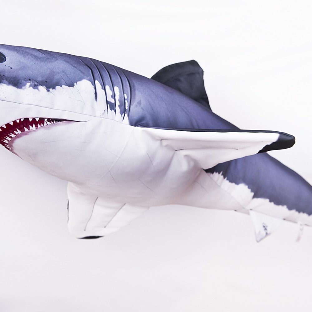 5374_Shark_1