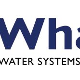5401_whale-logo