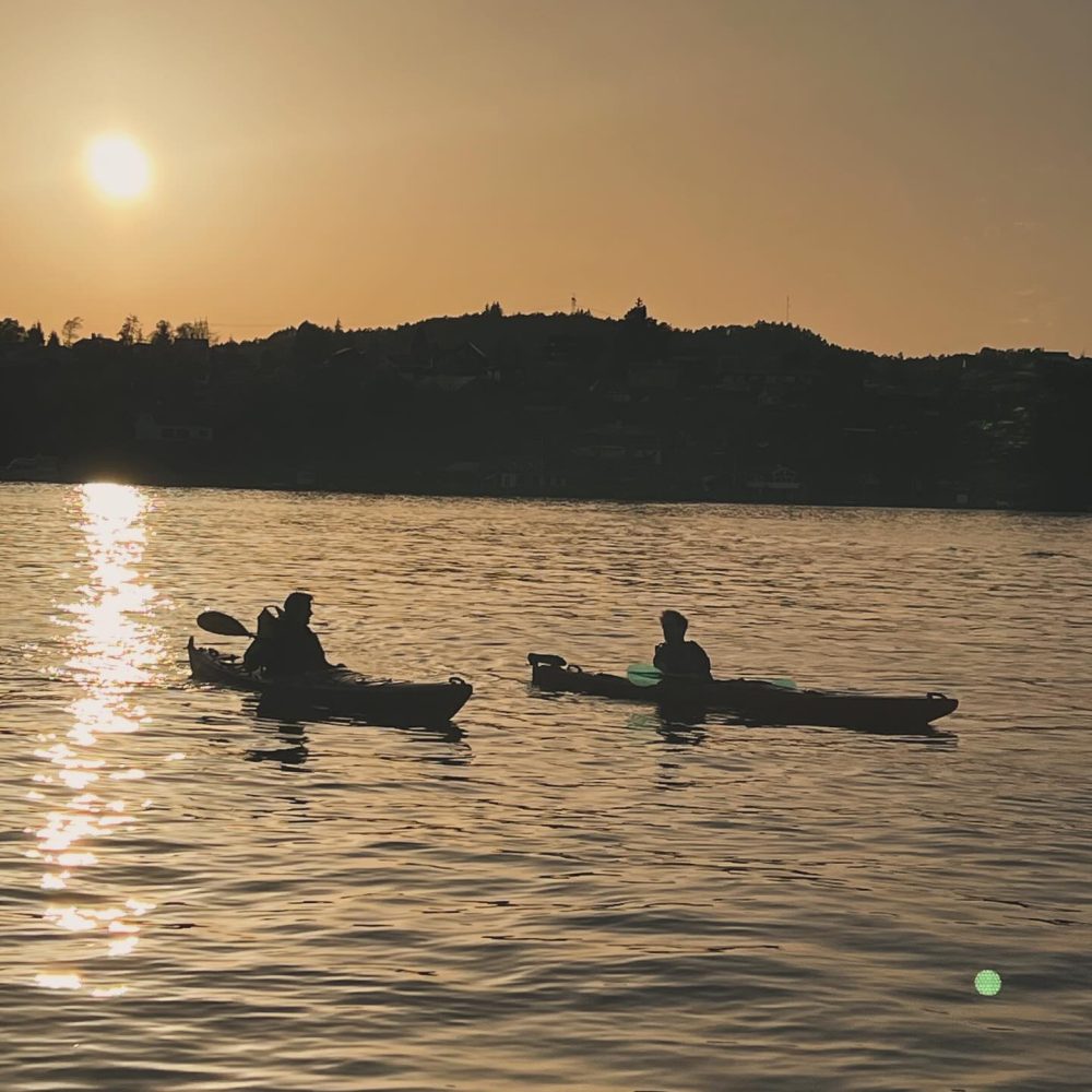 11234_Seabird 11234_Seabird