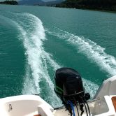 Mootorpaat Poseidon Fish 5.50 T Foam tekk