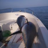 Mootorpaat Poseidon Fish 5.50 T merel kalastus