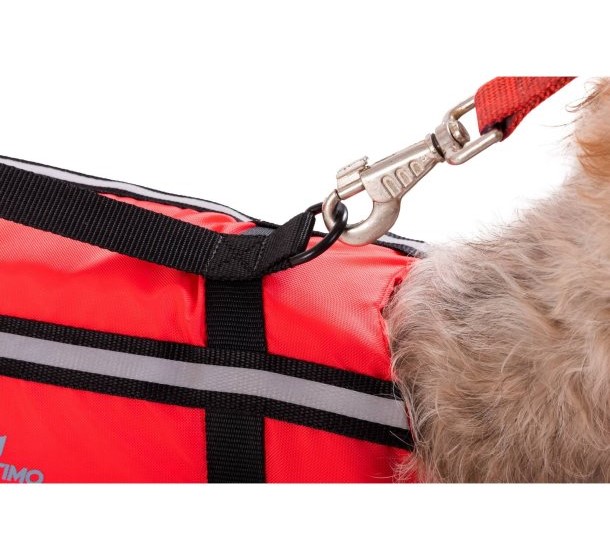 12469_P70596-2 12469_P70596-2