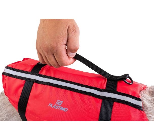 12470_P70596-3 12470_P70596-3