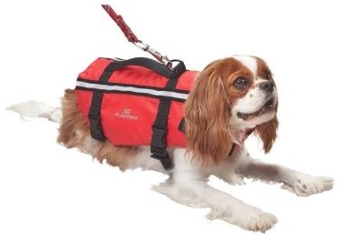 KOERTE PÄÄSTEVEST- TYPHOON, M