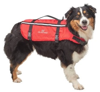 KOERTE PÄÄSTEVEST- TYPHOON, XL