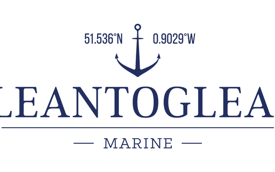 ŠVAMM - CLEANTOGLEAM SPONGE GRADE-1