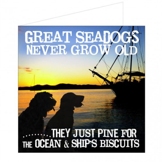 MERETEEMALINE POSTKAART- SEADOGS NEVER GROW OLD